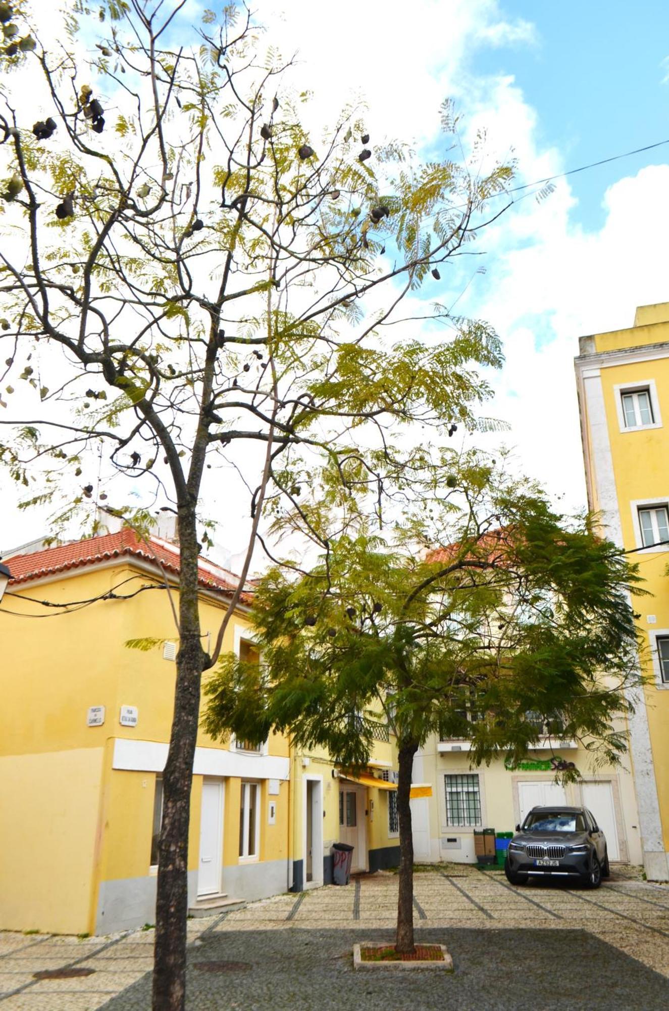 Rooms Dp Setúbal Kültér fotó